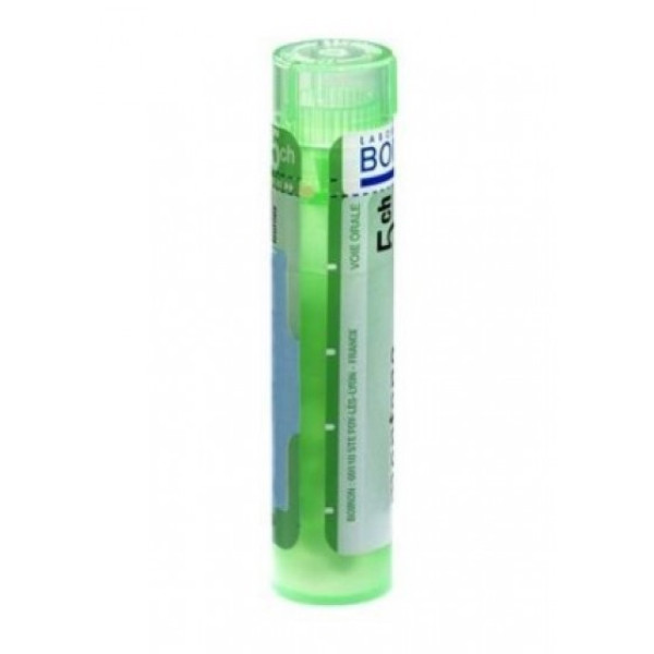 Nux Vomica Granulo 5ch